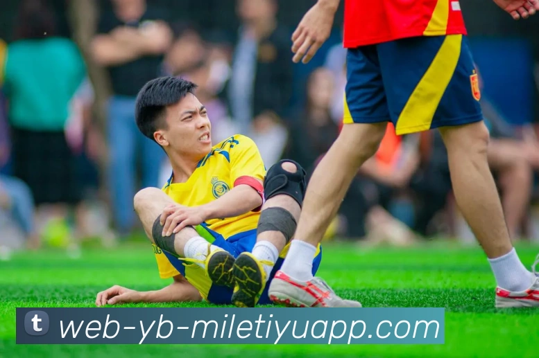 米乐体育平台生态图